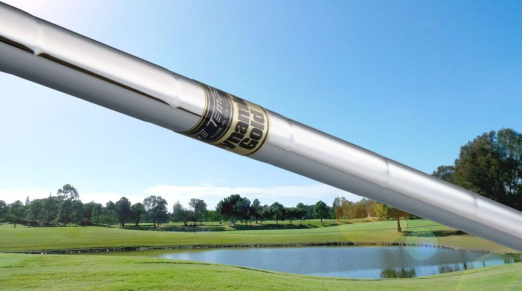 ダイナミックゴールド s200 合う人